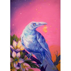 Biały Kruk - Artystyczny Wydruk | Sklep Online